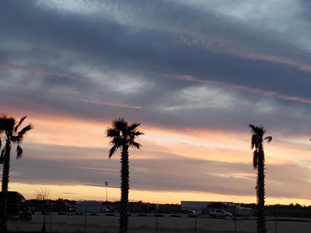 Rivercity Rv Park New Braunfels Bagian luar foto