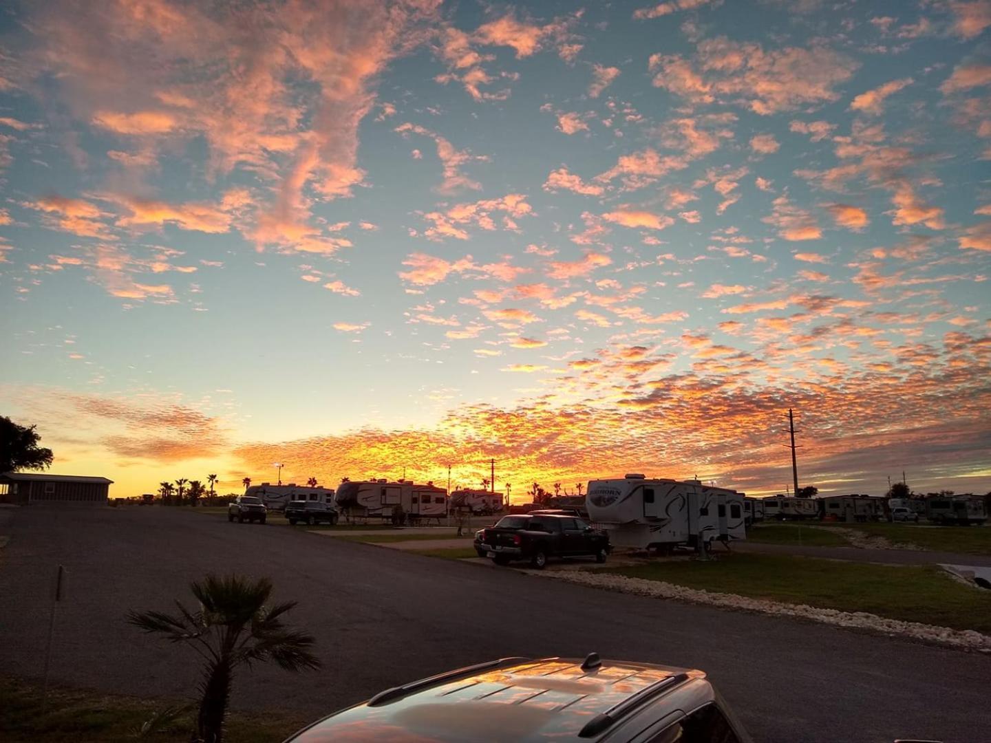 Rivercity Rv Park New Braunfels Bagian luar foto